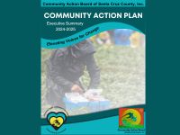 Community Action Board: Community Action Plan: Executive Summary 2024-2025