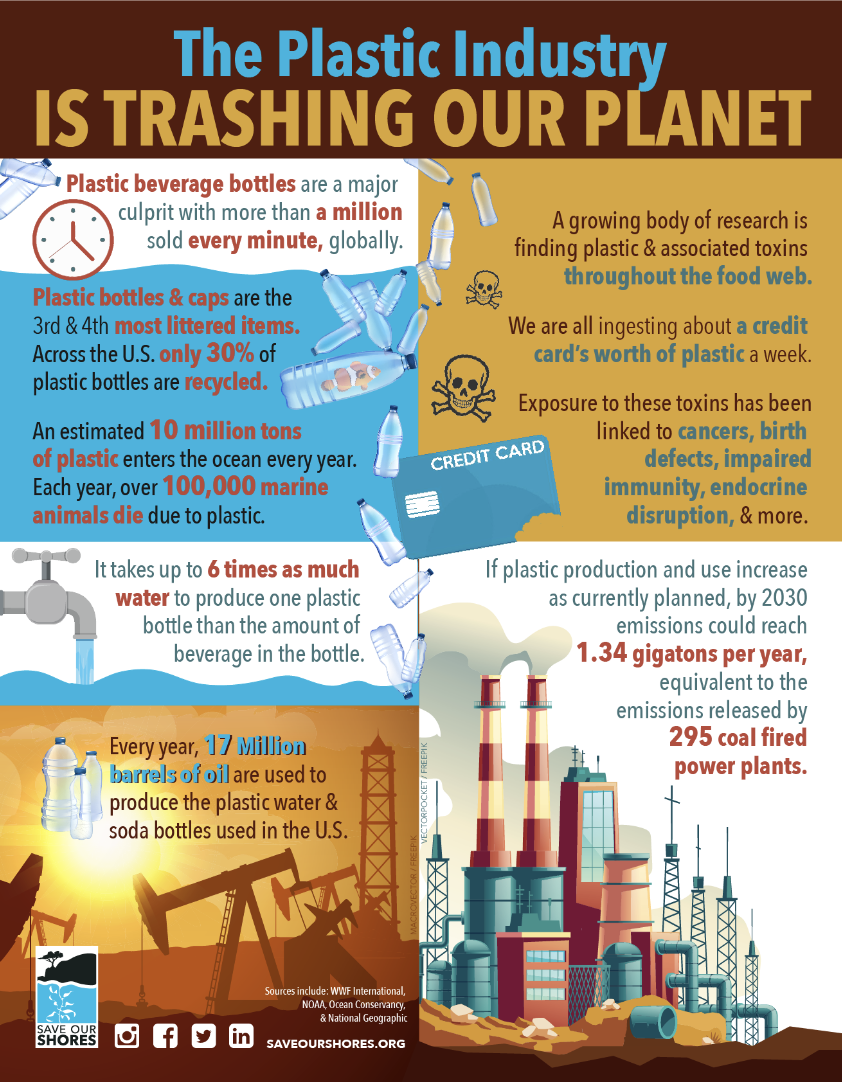 Plastic Pollution Infographic