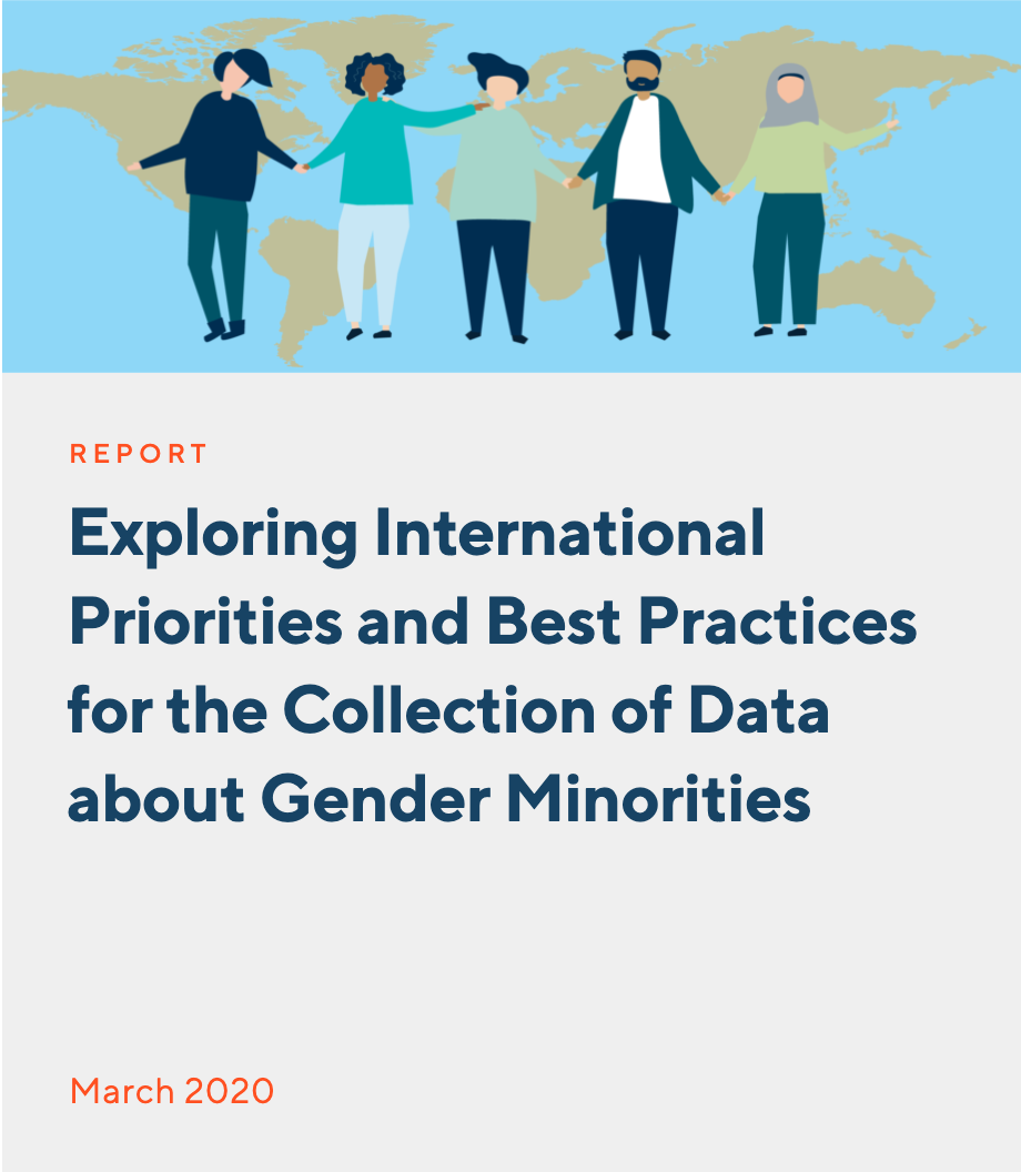 Exploring International Priorities and Best Practices for the Collection of Data about Gender Minorities 