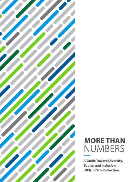 More than numbers; A Guide Toward Diversity, Equity, and Inclusion (DEI) in Data Collection